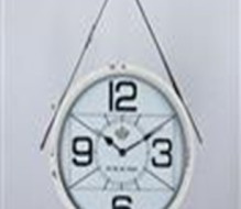 C-OLY110